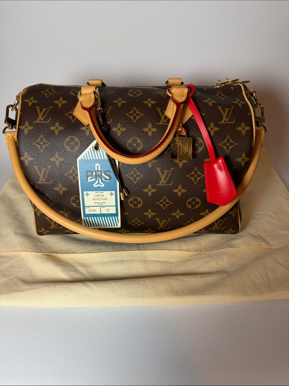 Louis Vuitton Speedy 30 Crafty